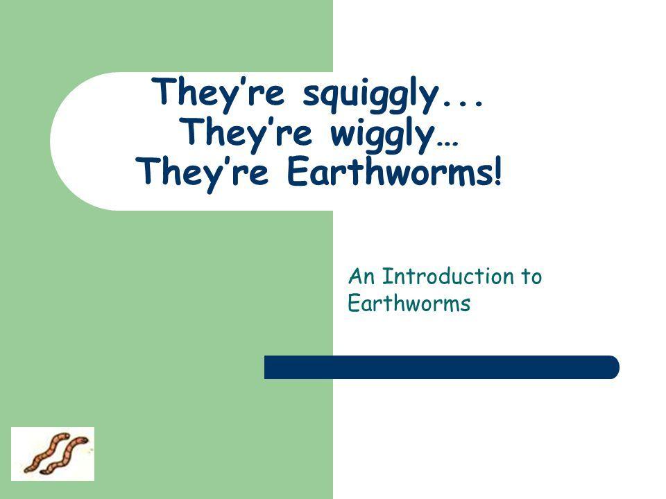 Squiggly Green M Logo - They're squiggly... They're wiggly… They're Earthworms! - ppt video ...