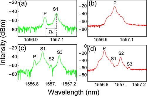 Red Backwards C Logo - OSA | Stimulated Brillouin scattering and Brillouin-coupled four ...