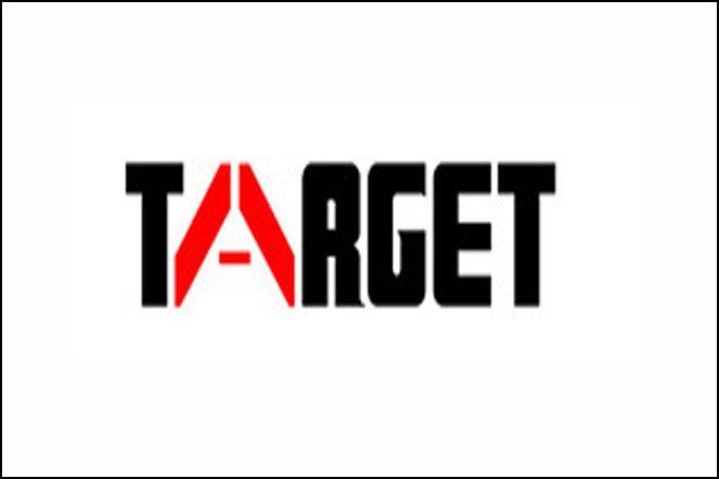 Target Company Logo - Marlin.. Target Engineering