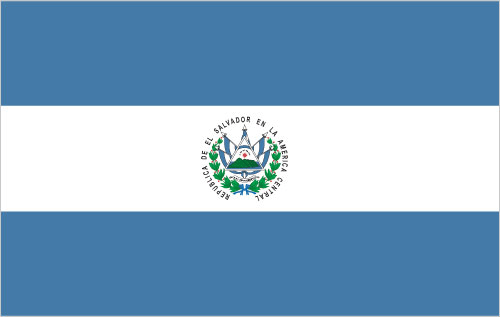 Inside Blue Circle with 3 Blue Lines Logo - Flags with descriptions
