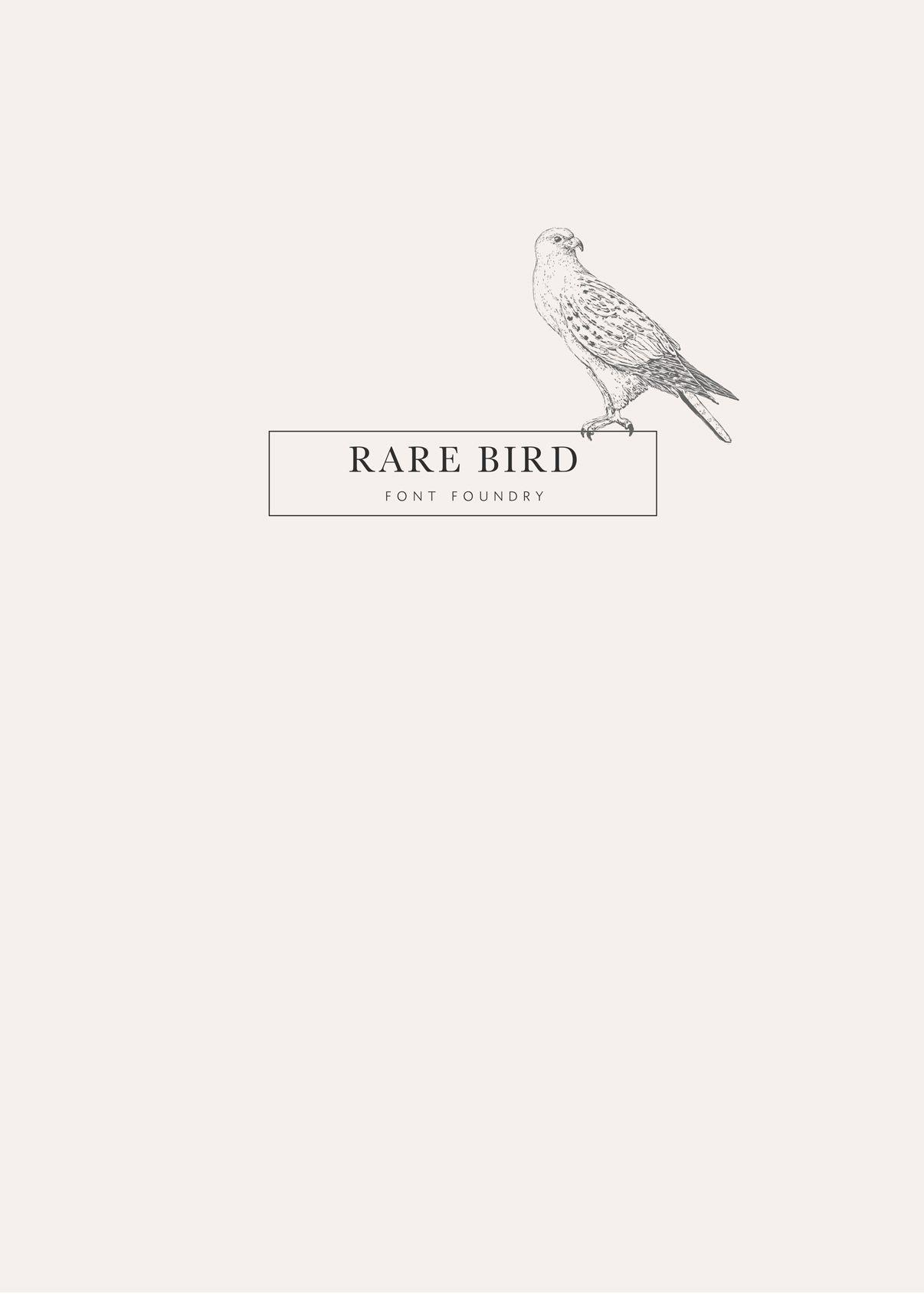 Rare Bird Logo - Introducing Rare Bird Font Foundry. typo. design