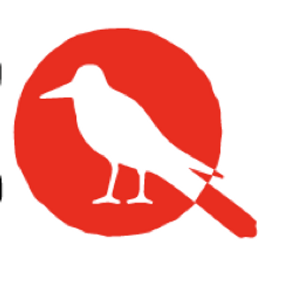 Rare Bird Logo - rare bird logo