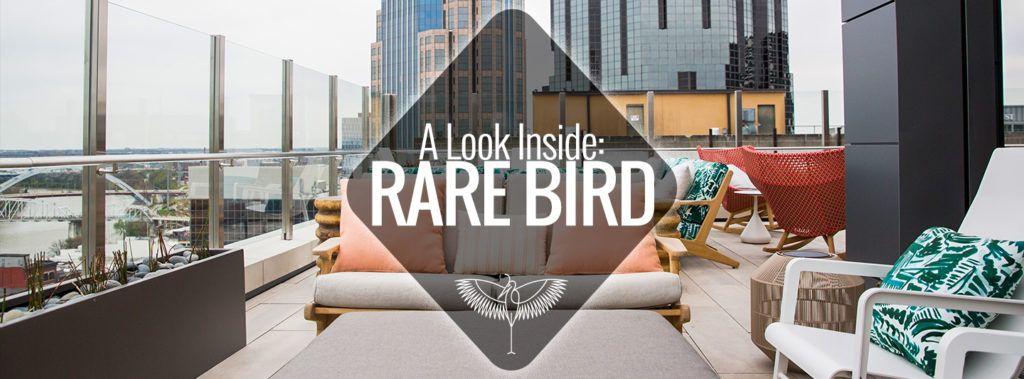 Rare Bird Logo - A Look Inside: Rare Bird | Nashville Guru