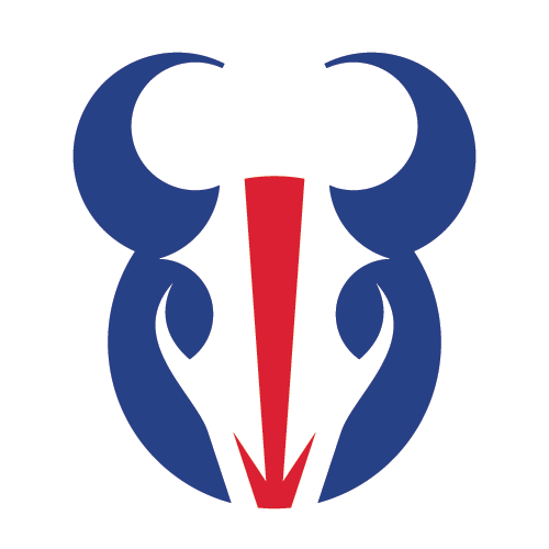 Bills Football Logo - New Football Logos