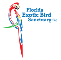 Famous Parrot Logo - Florida Exotic Bird Sanctuary