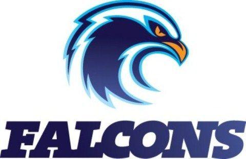 Blue Falcon Logo - Falcon Logo Logo Design