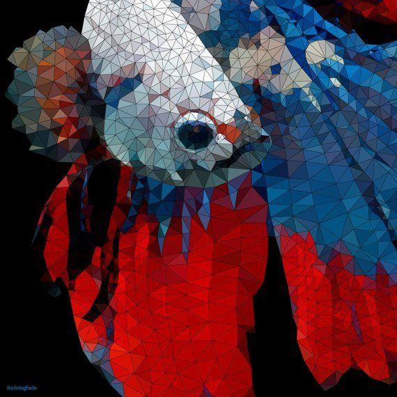 Red White Blue Fish Logo - Siamese Fighting Fish Red White Blue unique poly art | Etsy