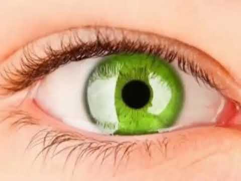 Lime Green Eye Logo - Lime Green Eyes Change Your Eye Color To Lime Green Long Eyelashes