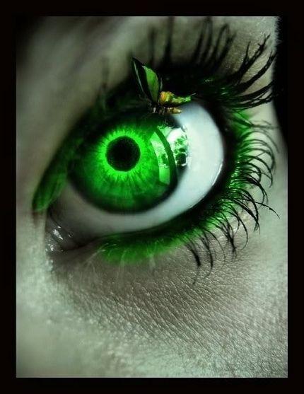 Lime Green Eye Logo - lime green butterfly. Photohop Eyes. Eyes, Green eyes, Butterfly eyes