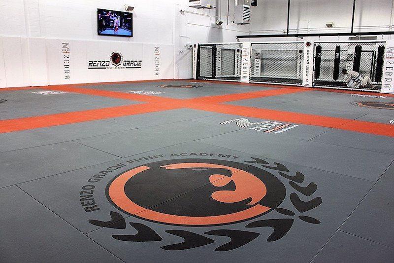 Zebra Mats Logo - MMA Mats: Back to the Basics