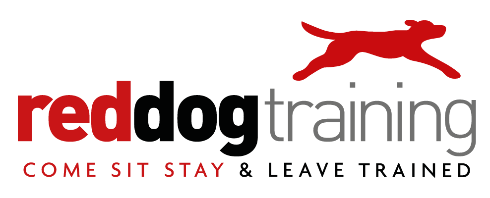 Red Dog Z Logo - Landing