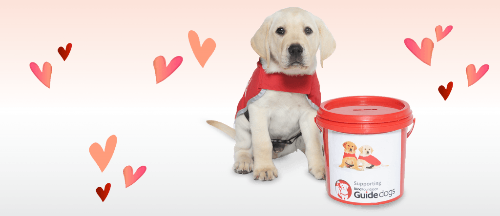 Red Dog Z Logo - Blind Foundation Guide Dogs