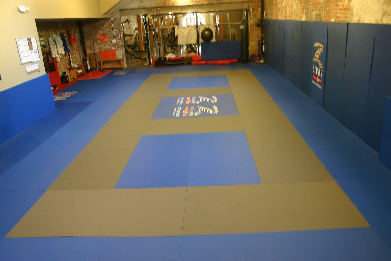 Zebra Mats Logo - Middle Age BJJ: Zebra Mats