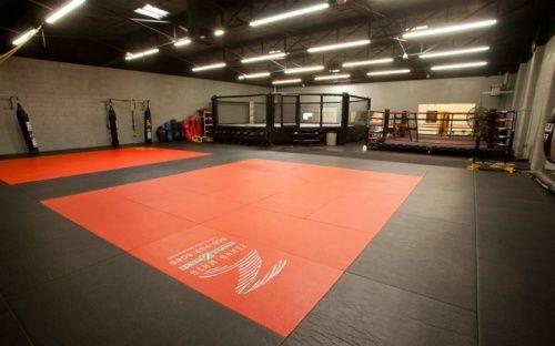 Zebra Mats Logo - MMA Mats For Grappling, Wrestling & Training | Zebra Mats Canada