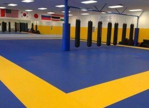 Zebra Mats Logo - Combo Striking Mats For Grappling & MMA | Zebra Mats Canada