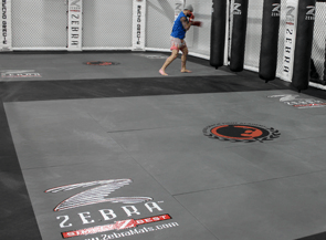 Zebra Mats Logo - MMA Mats For Grappling, Wrestling & Training. Zebra Mats Canada