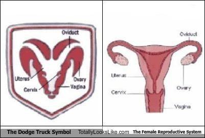 Female Logo - The Dodge Truck Symbol Totally Looks Like The Female Reproductive ...