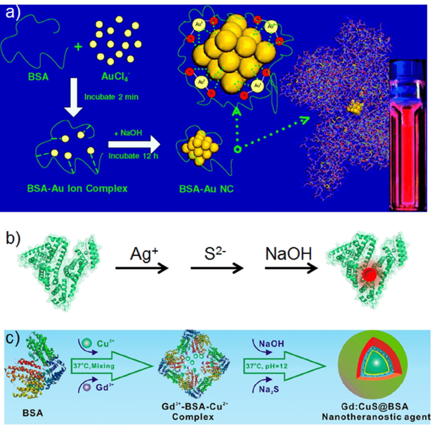 Red and Gold B Logo - a) Scheme of synthesizing highly red fluorescent gold nanoclusters