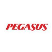 Pegasus Airlines Logo - Working at Pegasus Airlines