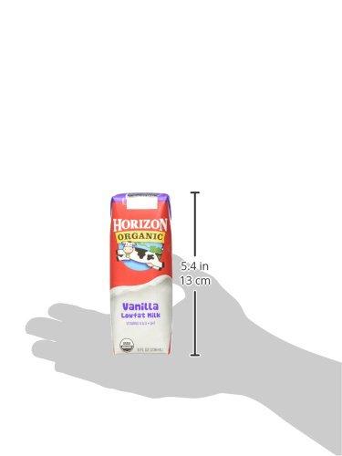 Horizon Organic Logo - Amazon.com : Horizon Organic Vanilla Milk, 8.0 Oz. Carton (18 count ...