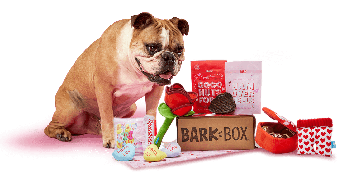 White Dog with a Red Box Logo - Dog Toys, Treats & Gifts Every Month
