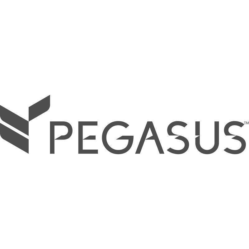 Pegasus Solutions Logo - Pegasus Solutions. Croydon BID Improvement District