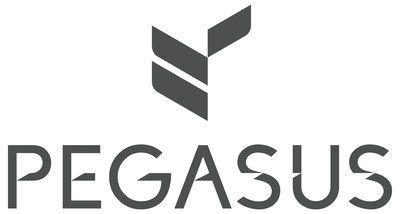 Pegasus Solutions Logo - Pegasus Solutions Announces New Corporate Request For Information