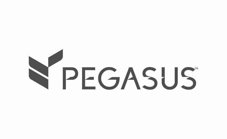 Pegasus Solutions Logo - PEGASUS SOLUTIONS ANNOUNCES TWO NEW EXECUTIVE HIRES | The Next Big Thing