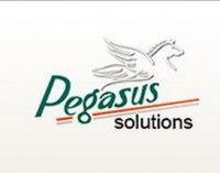 Pegasus Solutions Logo - Pegasus Solutions Abroad Agent in Hyderabad