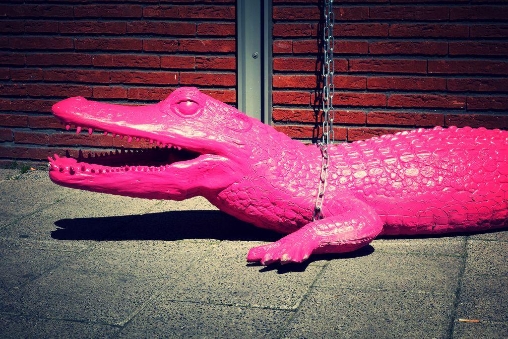 Pink Crocodile Logo - PINK CROCODILE CHAINED TO WALL. Archive: Digionbew 13. 18 0