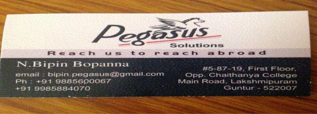 Pegasus Solutions Logo - Pegasus Solutions, Laxmipuram Education Consultants
