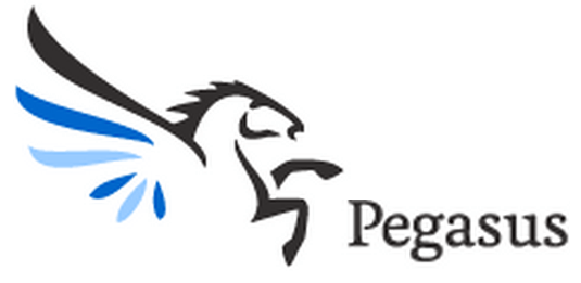 Pegasus Solutions Logo - Pegasus solutions Logos