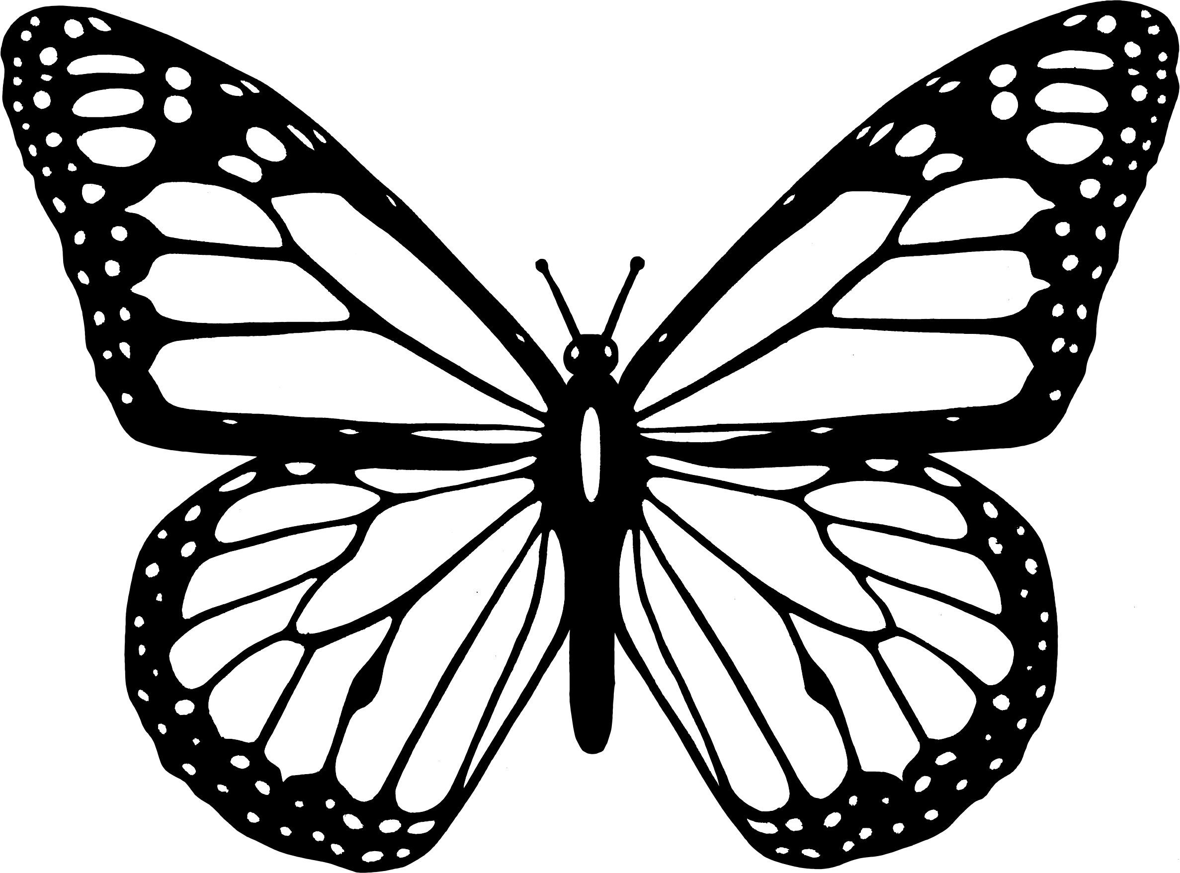 Butterfly Black and White Logo - Clipart - Black And White Butterfly
