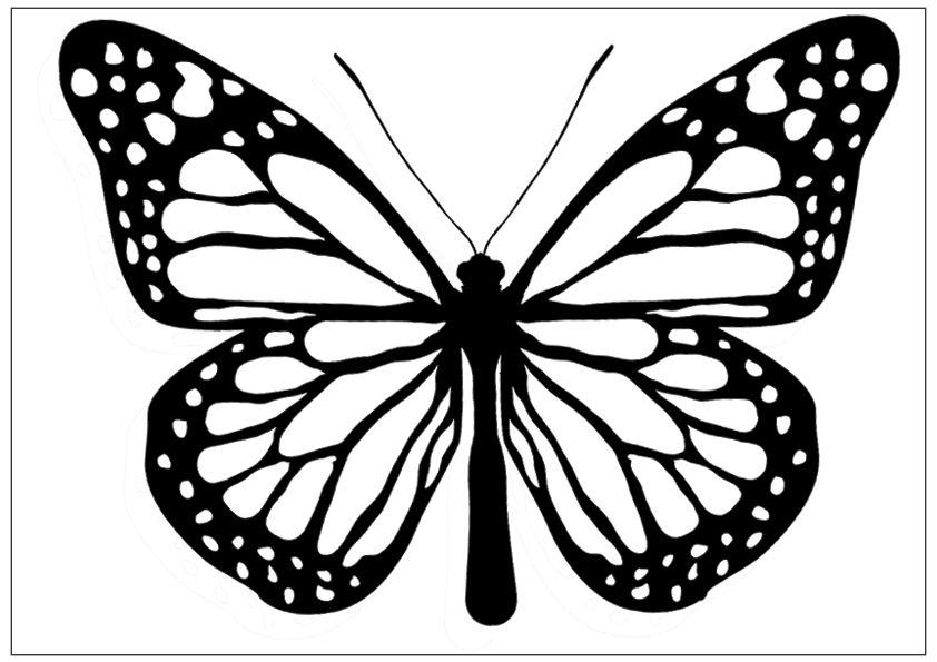 Butterfly Black and White Logo - Free Simple Butterfly Black And White, Download Free Clip Art, Free ...