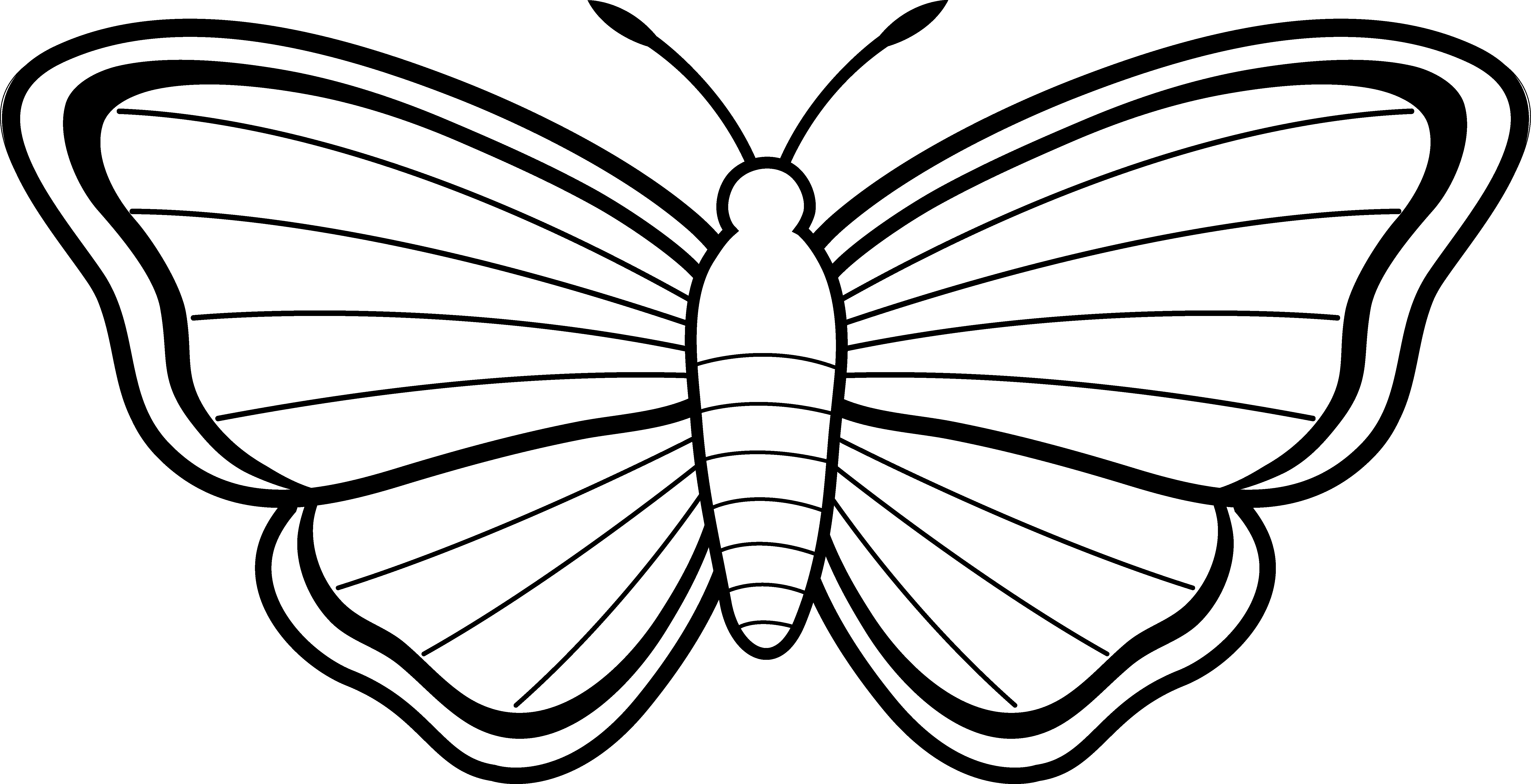Butterfly Black and White Logo - Free Butterflies Black And White Outline, Download Free Clip Art ...