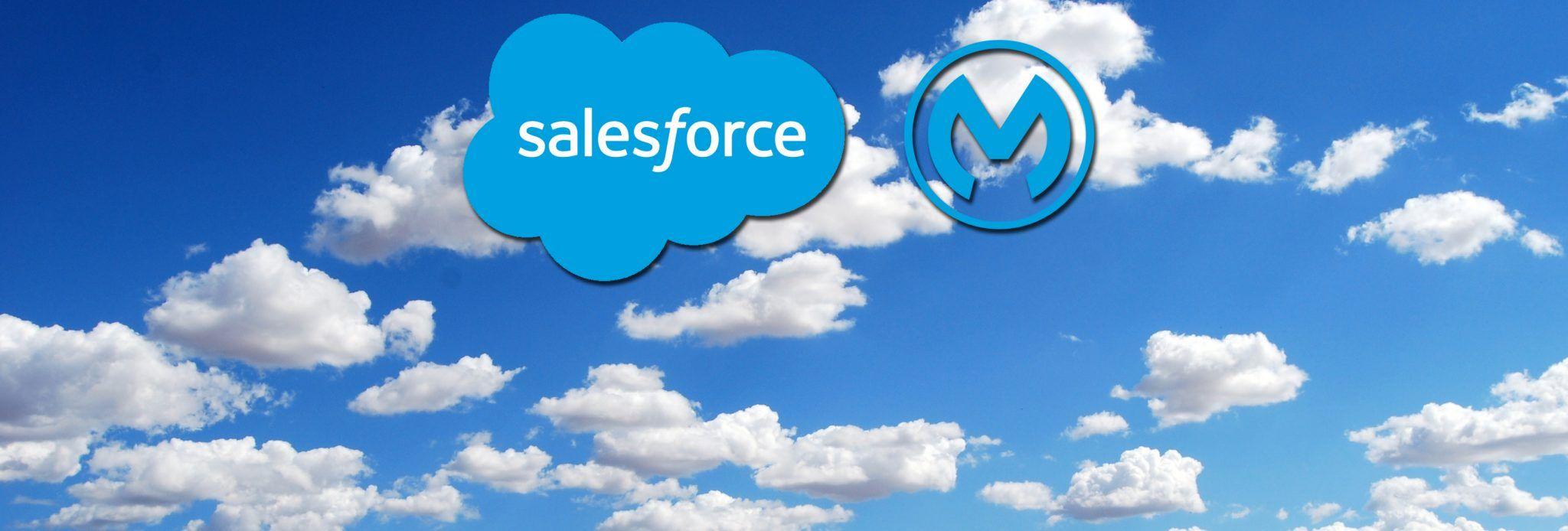 MuleSoft Logo - Salesforce's $6.5B acquisition of MuleSoft: What it means for the ...