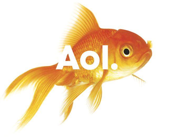New AOL Logo - AOL Baffles with New Brand and Logo