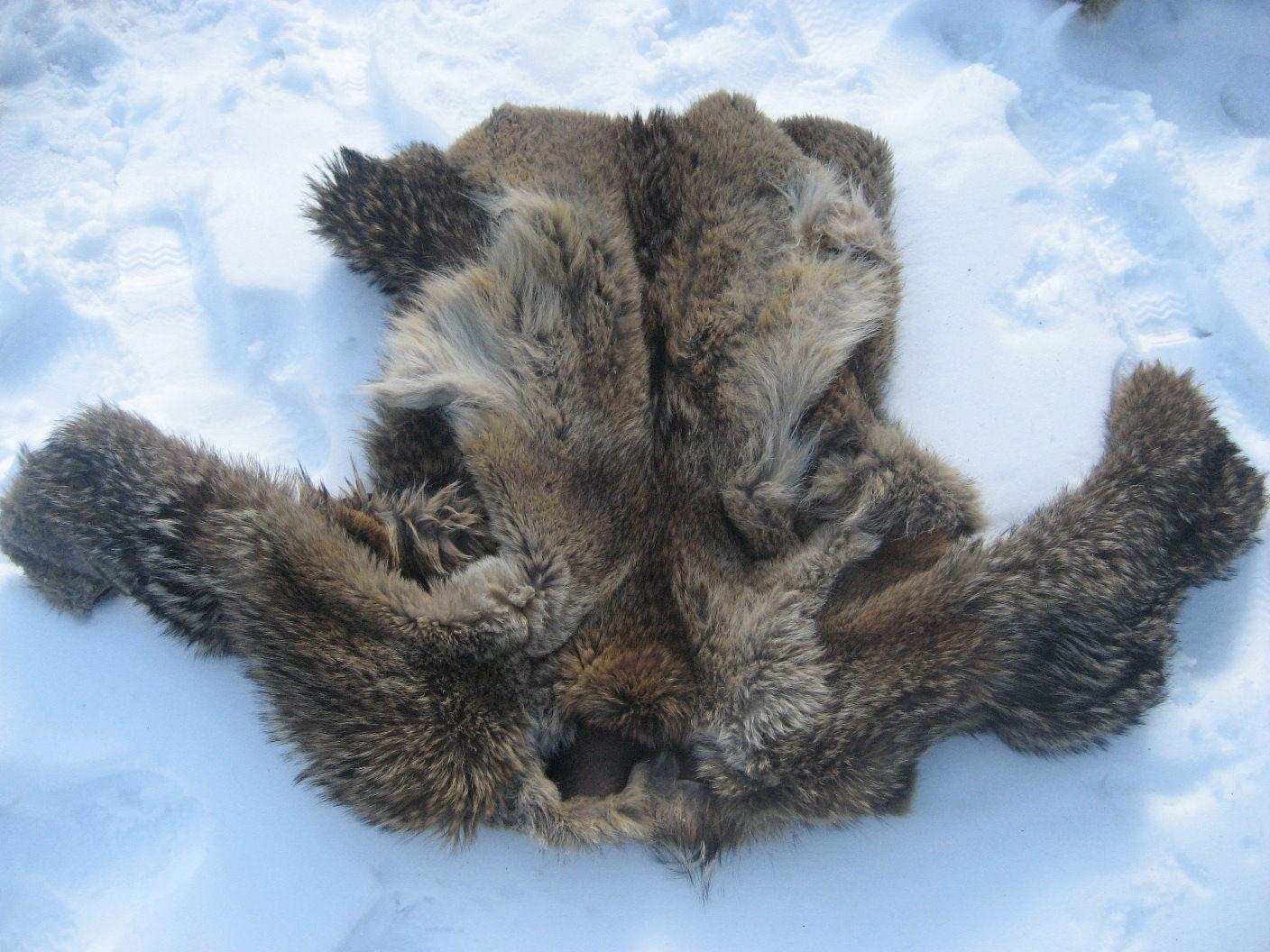 Coyote Clothing Logo - Living Primitively » Winter clothing – Part 1: Fur parka and leggins