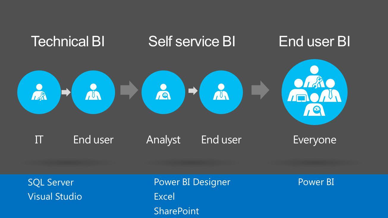 End User Server Logo - End user End user BI Everyone Technical BISelf service BI End