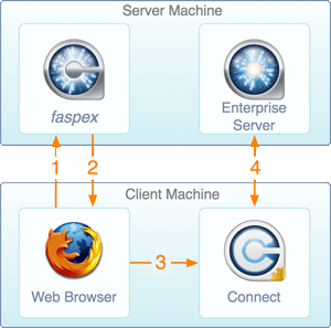 End User Server Logo - IBM Aspera Faspex User Guide 4.0.1
