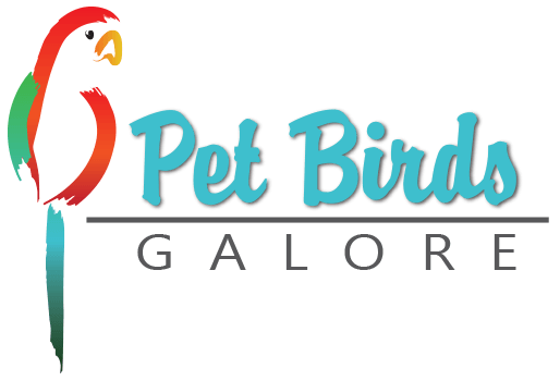 Birds Animal Logo - Contact - Pet Birds Galore