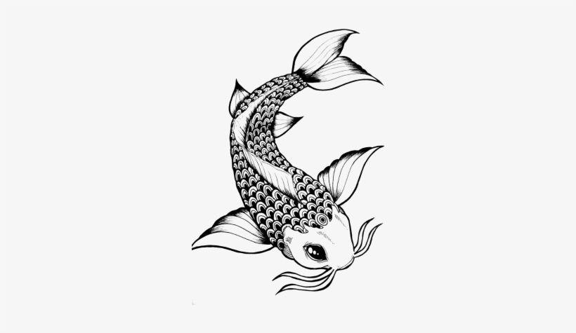 Koi Fish Black and White Logo - Elegant Drawing Koi Fish Transparent Stock - Koi Fish Black And ...