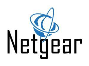 Netgear Logo - Netgear Logo – Brandon Grosstueck