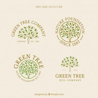Palm Leaf Logo - Tree Logo Vectors, Photos and PSD files | Free Download