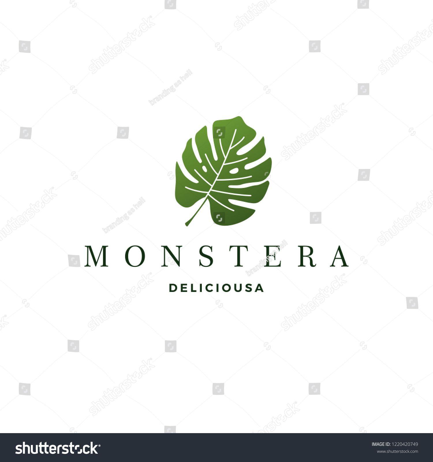 Palm Leaf Logo - monstera deliciosa deliciousa leaf logo vector icon illustration