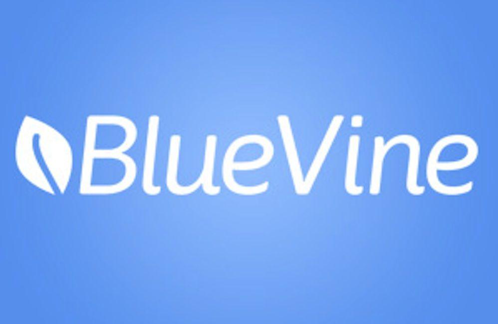 Blue Vine Logo - BlueVine's 2017 Ambitions | PYMNTS.com