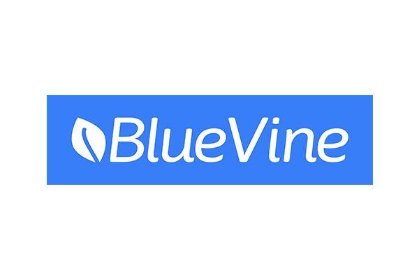 Blue Vine Logo - Nationwide's Venture Capital Investments Support Finance Firm BlueVine