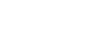 Pfizer Logo - pfizer-logo-white2 | Ness Digital Engineering