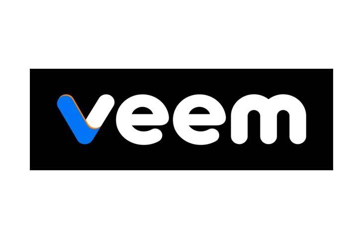Blue Vine Logo - Veem Partners with BlueVine to Give Small Businesses Access to
