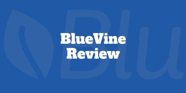 Blue Vine Logo - BlueVine Review Factoring & Lines of Credit